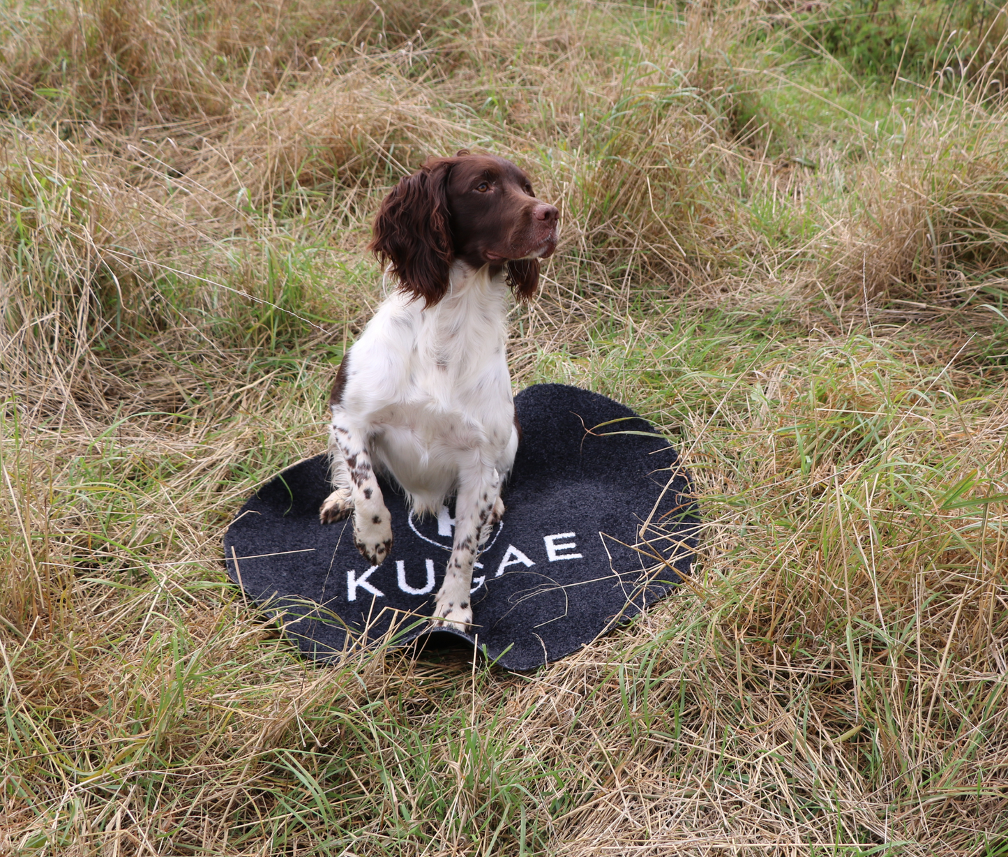 Kugae Circular Dog Training Mat