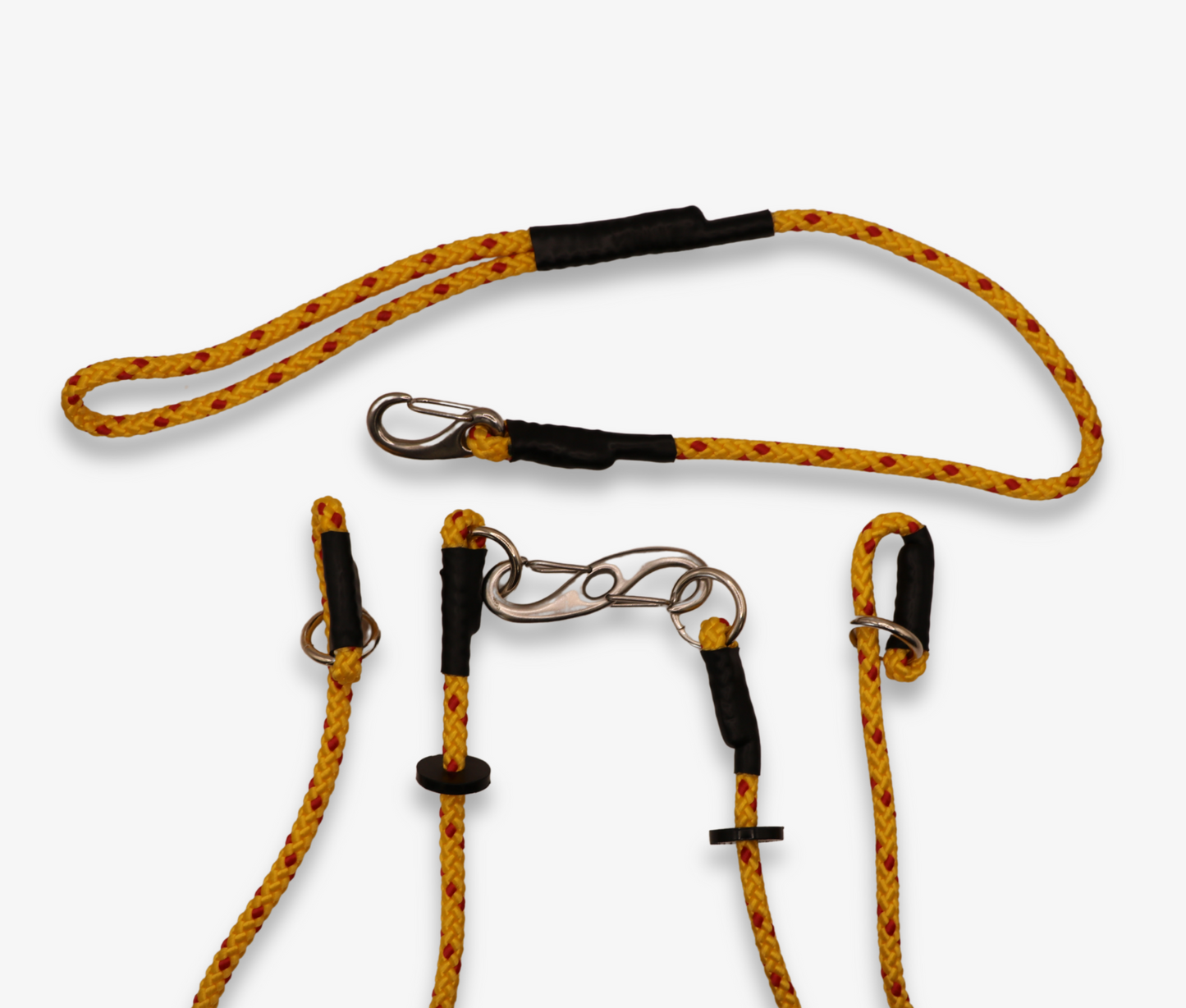 Double Training Lead for Two Retrievers image 1