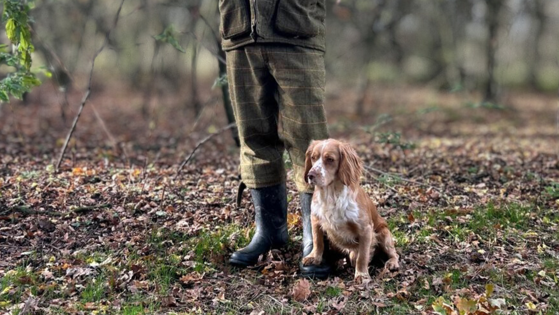 Biscuit's Journey : A Proper Little Character in the Making