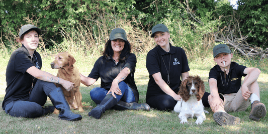 Traditional Field Training Gear for Your Team of Dogs