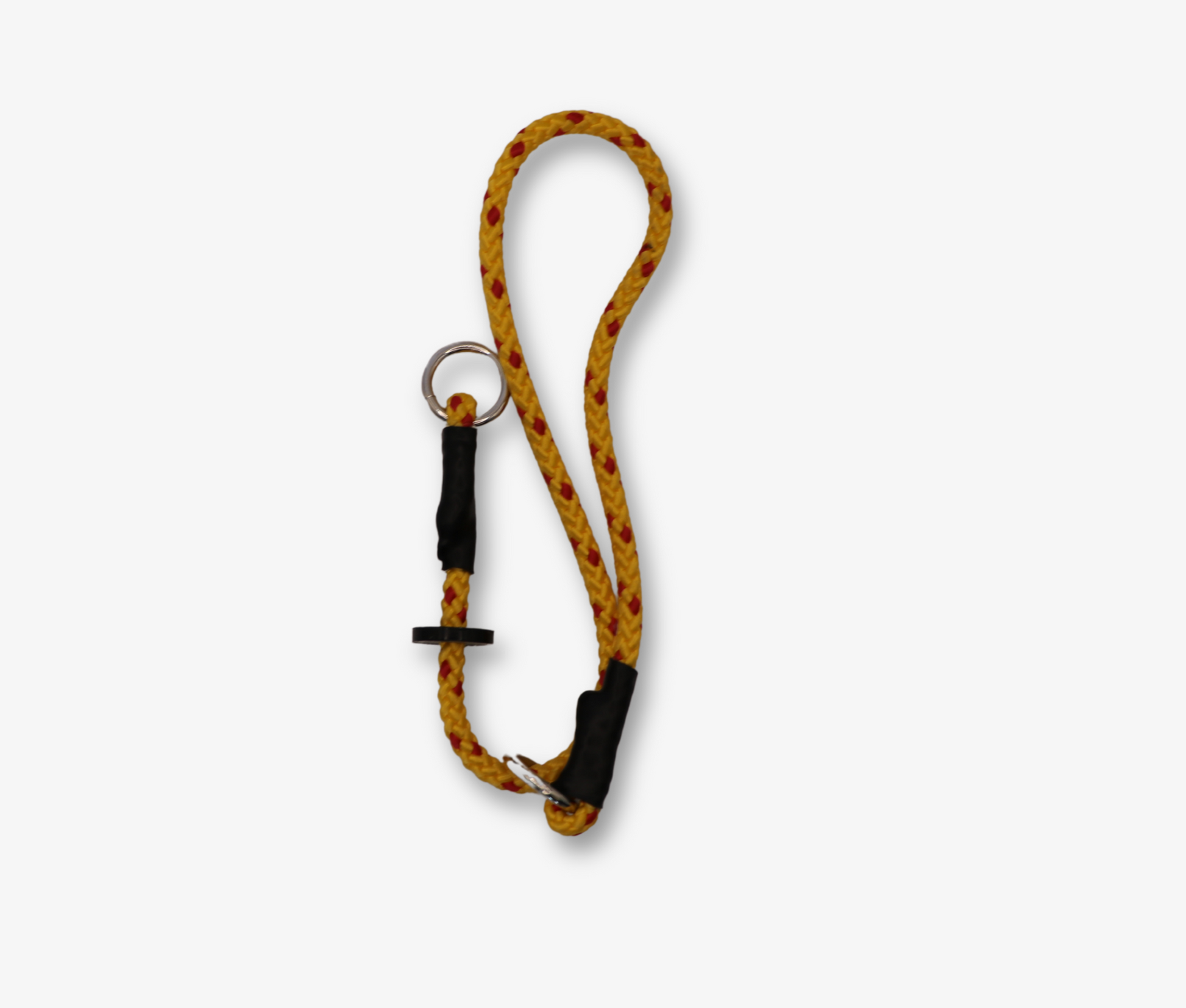 Spaniel Training Pack image 6