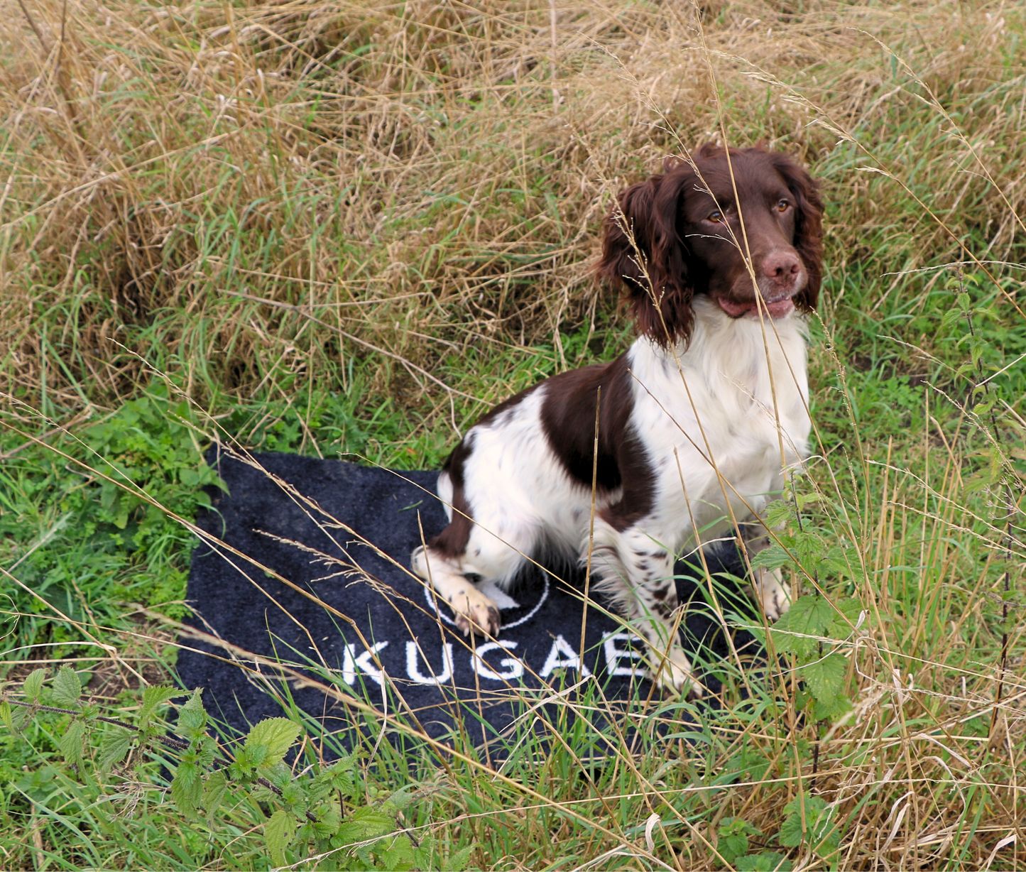 Kugae Dog Training Mat
