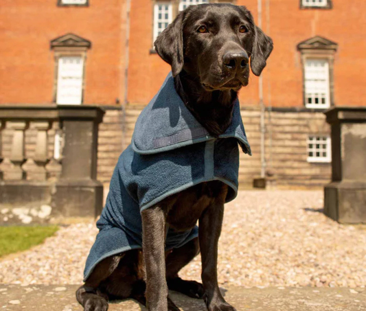 Drying Coat in Navy