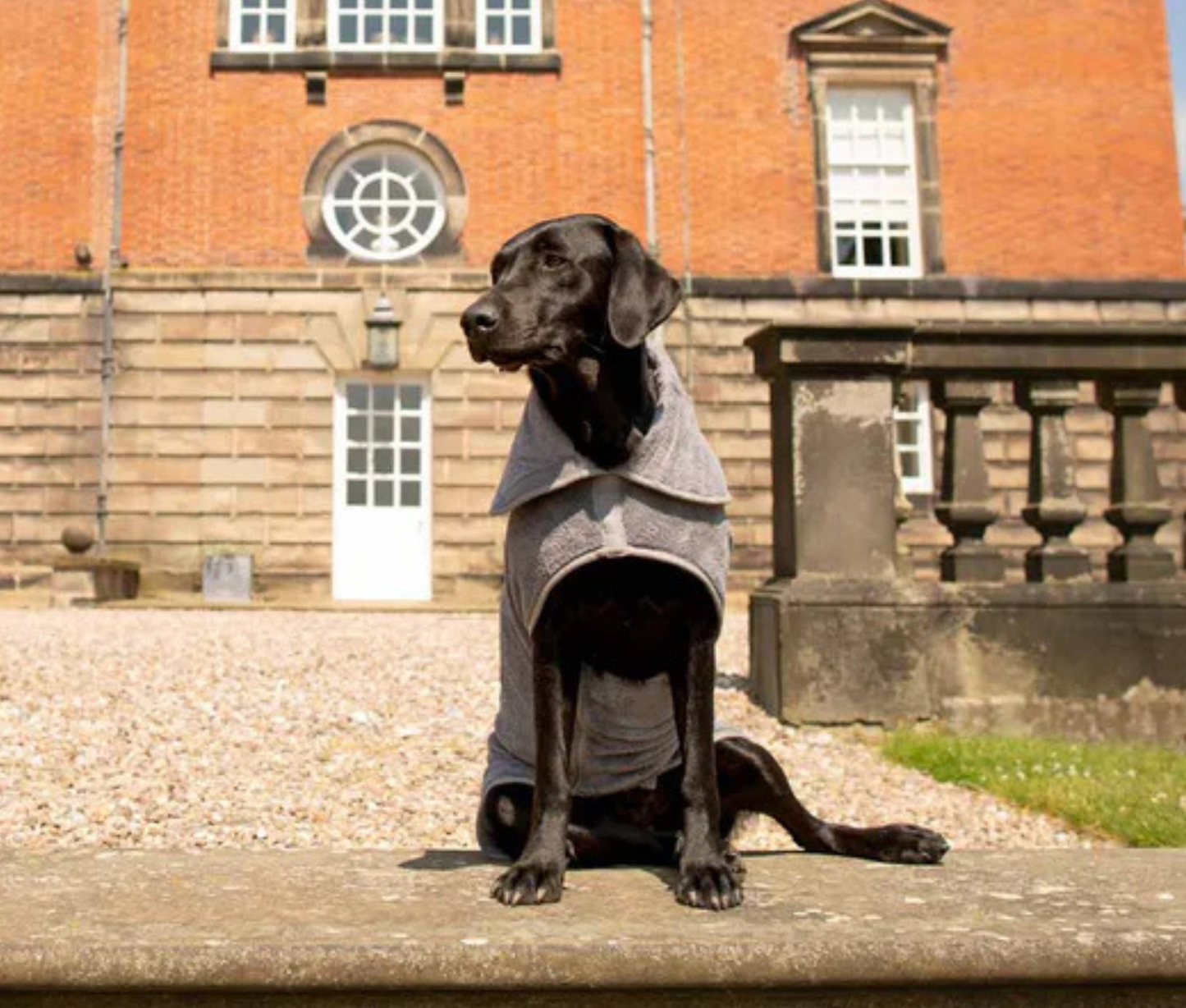 Drying Coat in Gun Metal