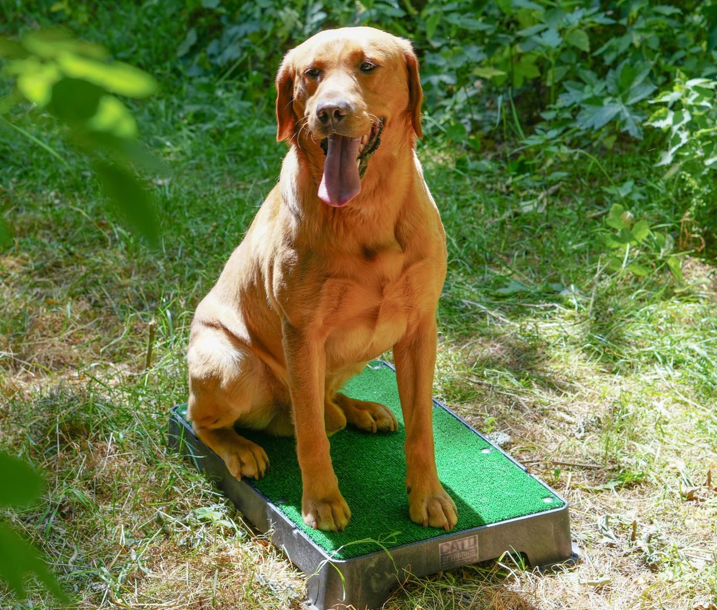 White Turf Cato Place Board