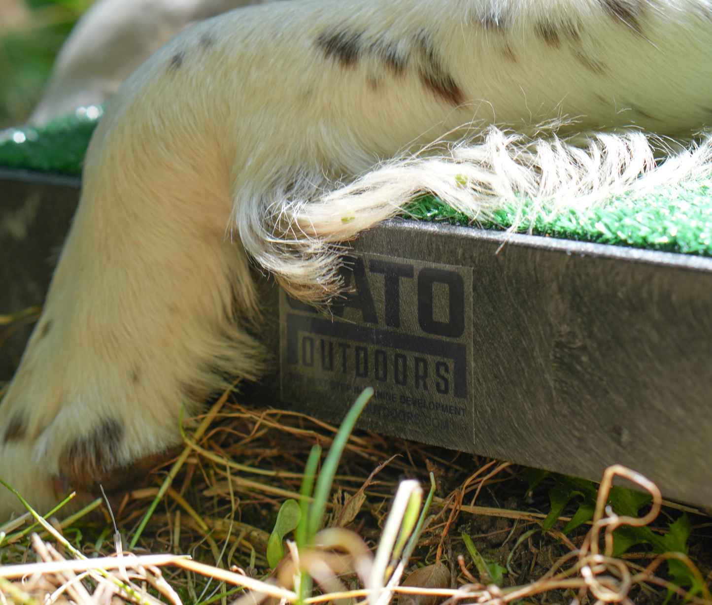 White Turf Cato Place Board