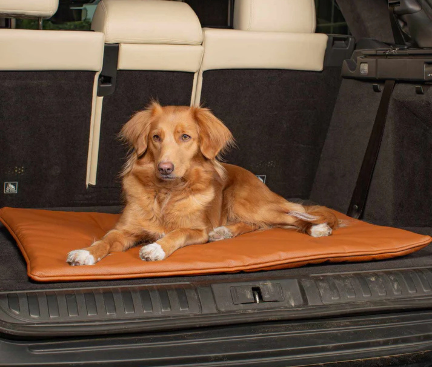 Water Resistant Gundog Travel Mat