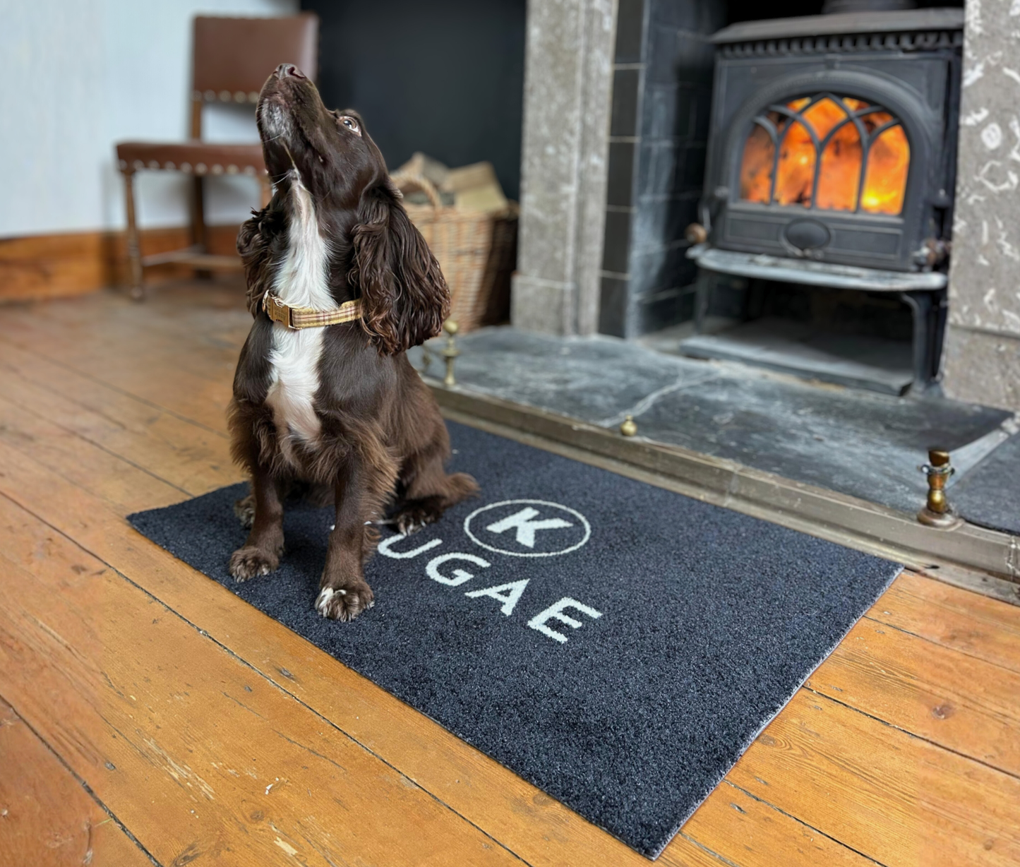 Kugae Dog Training Mat