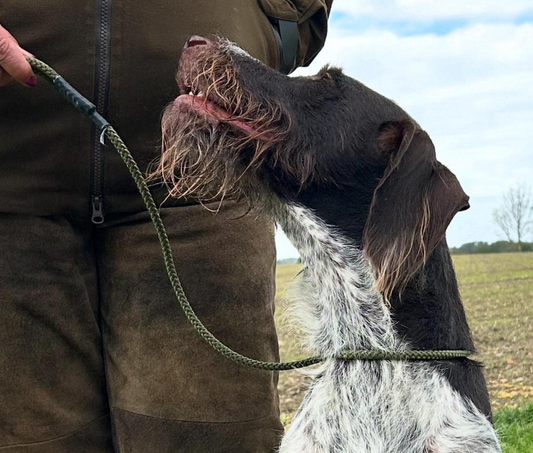 Kugae Slip Leads 8mm