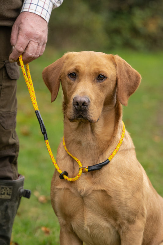 Kugae Slip Leads 8mm image 2