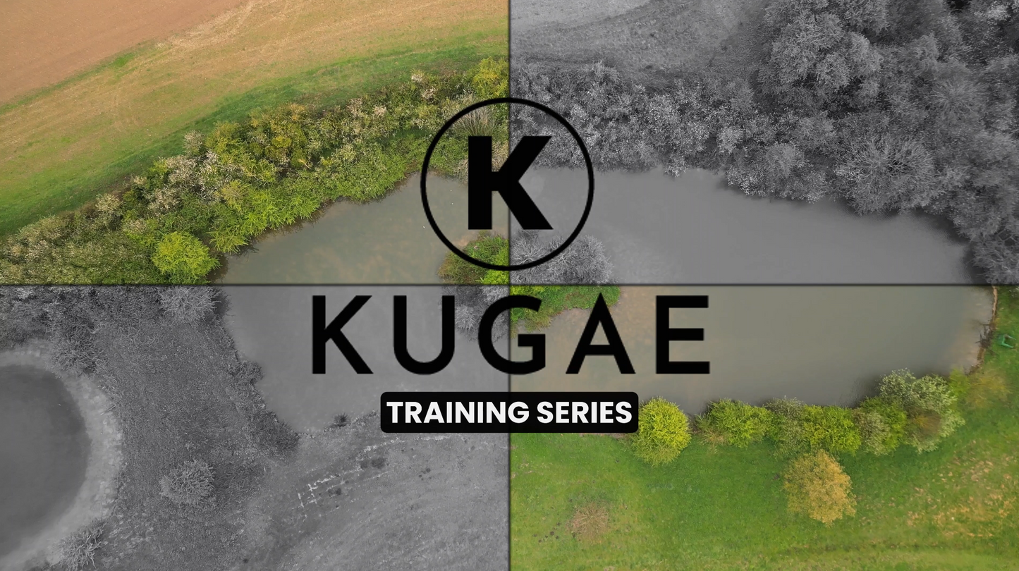 Heel Training for Gundogs: A Step-By-Step Guide For Pets & Working Dogs